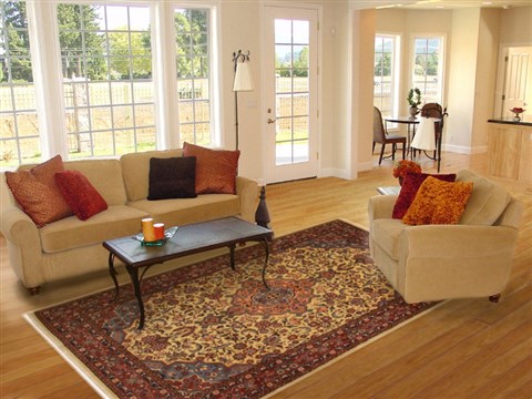 Hamedan Beige Hand Knotted 610 X 97 Area Rug 100-11086 Image 4