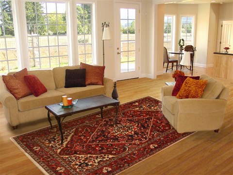 Bakhtiar Red Hand Knotted 611 X 100 Area Rug 100-11090 Image 4