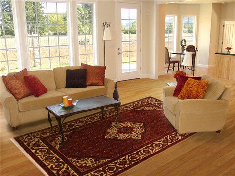Hossein Abad Red Hand Knotted 610 X 100 Area Rug 100-11094 Image 4