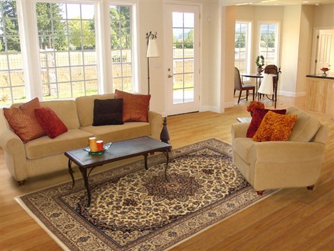 Nain Beige Hand Knotted 611 X 99 Area Rug 100-11101 Image 4