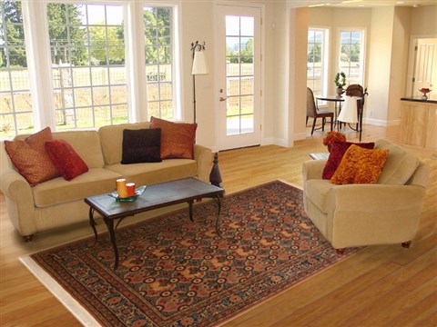 Varamin Red Hand Knotted 611 X 99 Area Rug 100-11107 Image 4