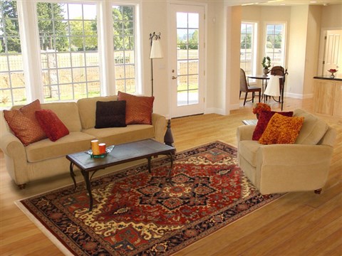 Heriz Red Hand Knotted 69 X 99 Area Rug 100-11108 Image 4