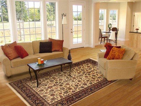 Mashad Beige Hand Knotted 67 X 910 Area Rug 100-11109 Image 4