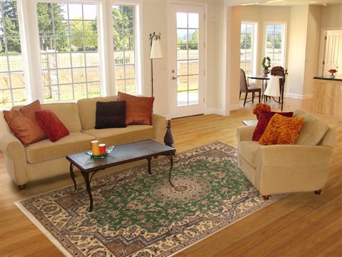 Nain Green Hand Knotted 67 X 99 Area Rug 100-11111 Image 4