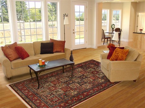 Bakhtiar Multicolor Hand Knotted 611 X 911 Area Rug 100-11112 Image 4