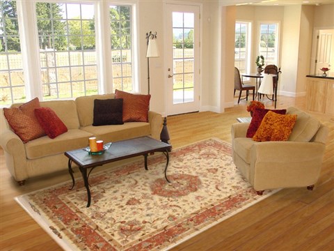 Tabriz Beige Hand Knotted 68 X 911 Area Rug 114-11131 Image 4