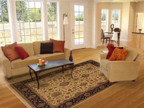 Jaipur Beige Hand Knotted 80 X 100 Area Rug 100-11144 Image 4