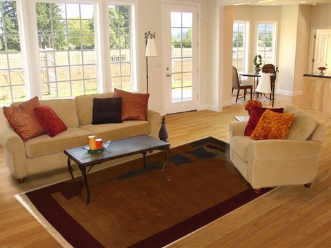 Indo-Tibetan Brown Hand Knotted 60 X 90 Area Rug 100-11145 Image 4