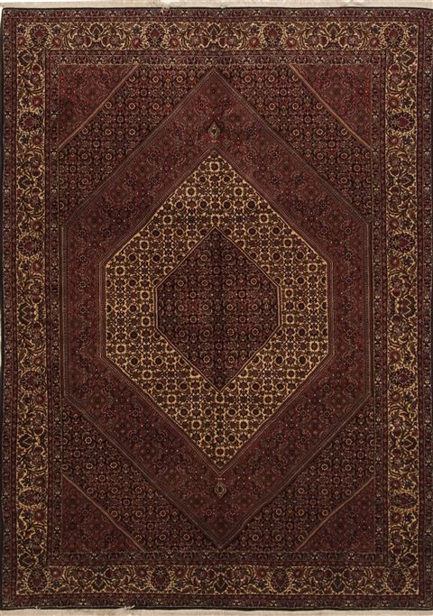 Bidjar Red Hand Knotted 69 X 99 Area Rug 100-11164 Image 0
