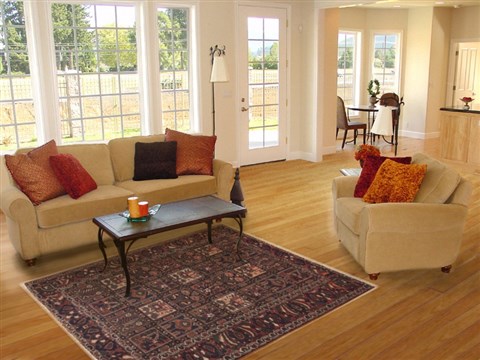 Bakhtiar Multicolor Hand Knotted 51 X 610 Area Rug 100-11265 Image 5