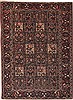 Bakhtiar Multicolor Hand Knotted 51 X 610  Area Rug 100-11265 Thumb 0