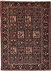 Bakhtiar Multicolor Hand Knotted 51 X 610 Area Rug 100-11265 Thumb 0
