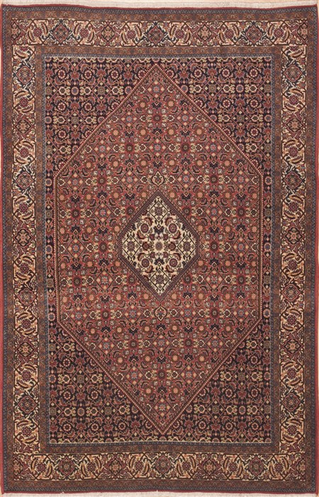 Bidjar Red Hand Knotted 46 X 72  Area Rug 100-11300 Image 0