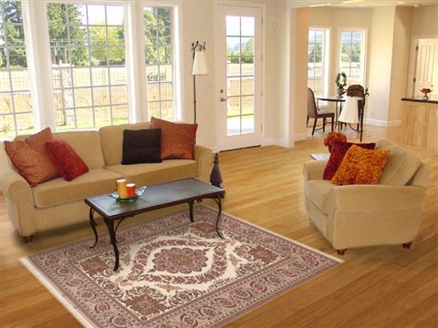 Tabriz White Hand Knotted 43 X 65 Area Rug 100-11302 Image 5