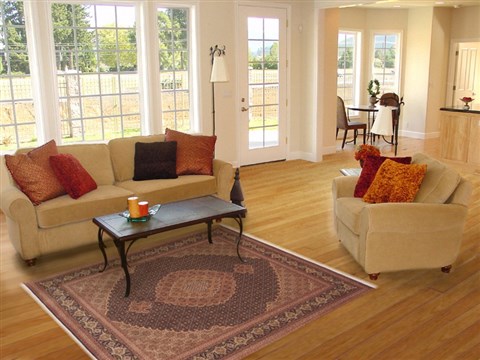 Tabriz Brown Hand Knotted 51 X 67 Area Rug 100-11303 Image 5