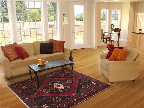 Hamedan Red Hand Knotted 50 X 78 Area Rug 100-11309 Image 4