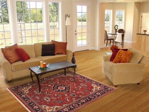 Sarouk Red Hand Knotted 43 X 63 Area Rug 100-11310 Image 5