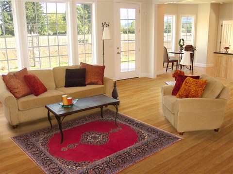 Kashan Red Hand Knotted 47 X 78 Area Rug 100-11313 Image 4