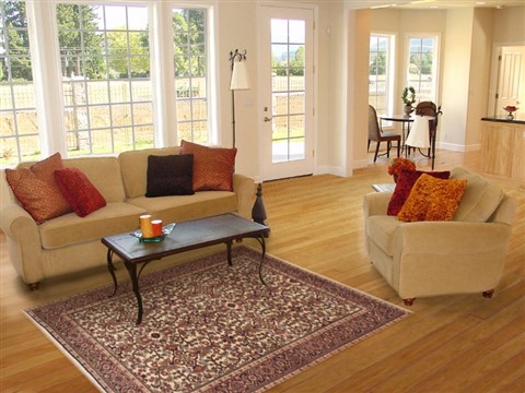 Bidjar Beige Hand Knotted 47 X 71 Area Rug 100-11330 Image 5