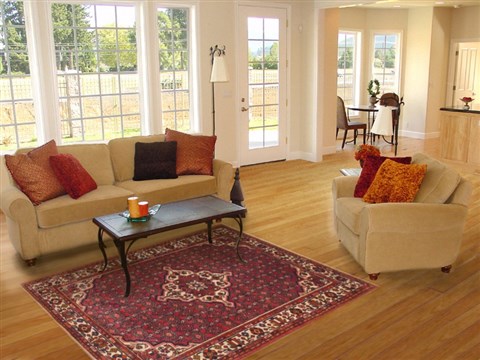 Hossein Abad Red Hand Knotted 50 X 610 Area Rug 100-11335 Image 5