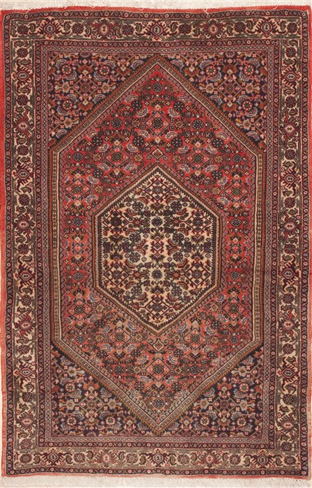 Bidjar Red Hand Knotted 211 X 46  Area Rug 100-11394 Image 0