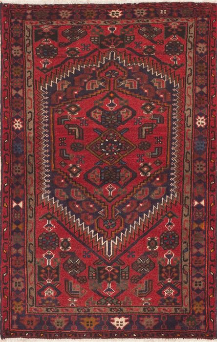 Hamedan Red Hand Knotted 32 X 49 Area Rug 100-11413 Image 0
