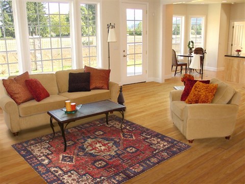 Nahavand Red Hand Knotted 48 X 68 Area Rug 100-11488 Image 5