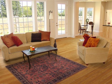 Zanjan Purple Hand Knotted 43 X 60 Area Rug 100-11489 Image 5