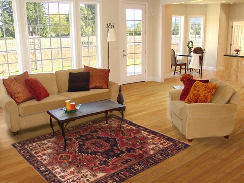 Nahavand Brown Hand Knotted 45 X 63 Area Rug 100-11491 Image 5