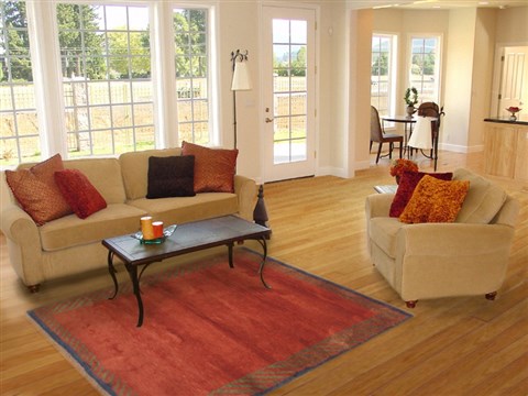 Gabbeh Red Hand Knotted 43 X 59 Area Rug 100-11550 Image 5