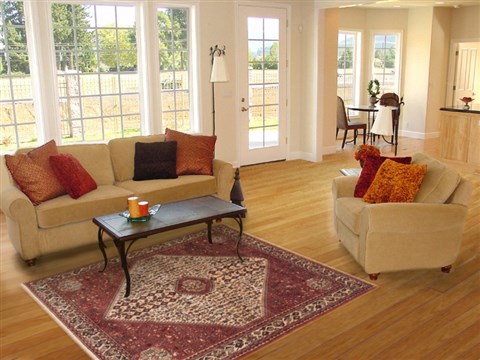 Abadeh Beige Hand Knotted 50 X 69 Area Rug 100-11551 Image 5