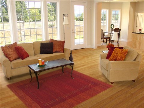 Gabbeh Red Hand Knotted 42 X 61 Area Rug 100-11585 Image 5