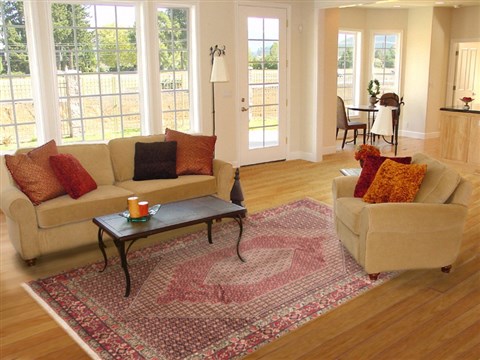 Sanandaj Red Hand Knotted 67 X 911 Area Rug 100-11696 Image 4