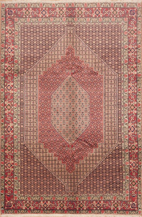 Sanandaj Red Hand Knotted 67 X 911 Area Rug 100-11696 Image 0