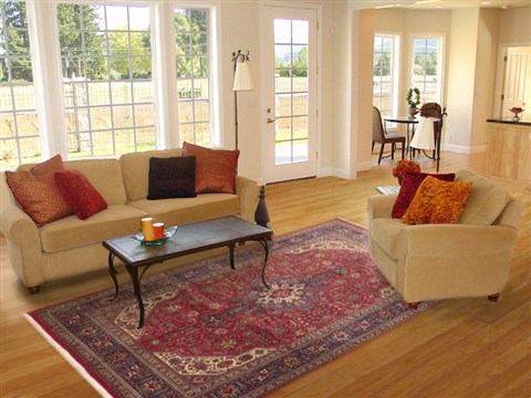Tabriz Red Hand Knotted 69 X 102 Area Rug 100-11698 Image 4