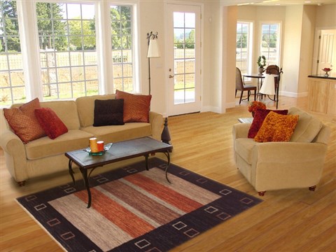 Gabbeh Brown Hand Knotted 43 X 59 Area Rug 100-11699 Image 5