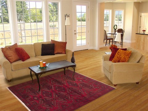 Baluch Red Hand Knotted 37 X 65 Area Rug 100-11707 Image 5