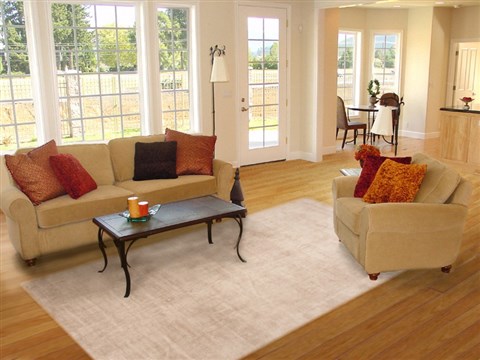 Modern Beige Hand Knotted 80 X 911 Area Rug 100-11721 Image 4