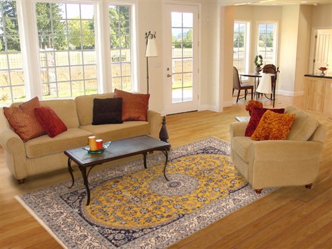 Nain Yellow Hand Knotted 68 X 100 Area Rug 100-11779 Image 4