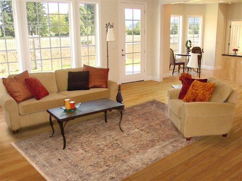 Tabriz Brown Hand Knotted 82 X 111 Area Rug 100-11784 Image 4