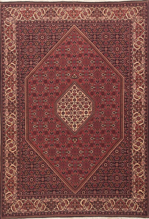 Bidjar Red Hand Knotted 58 X 82  Area Rug 100-11789 Image 0