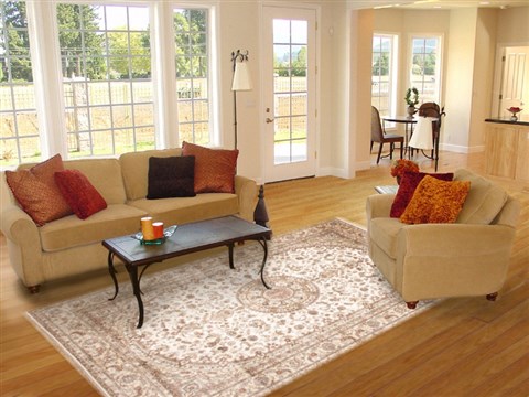 Kashmir White Hand Knotted 62 X 93 Area Rug 100-11790 Image 4