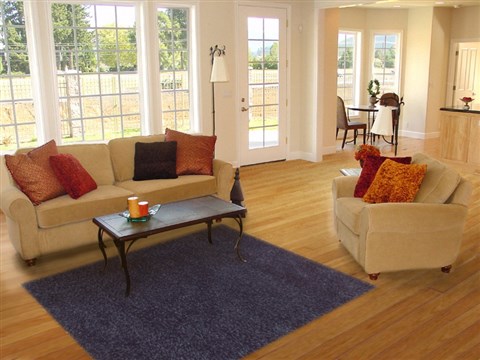 Shaggy Blue Hand Knotted 50 X 80 Area Rug 100-11829 Image 4