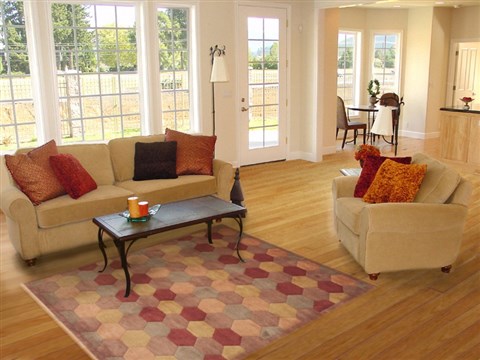 Indo-Nepal Multicolor Hand Knotted 50 X 80 Area Rug 100-11840 Image 4