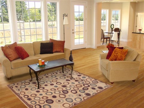 Indo-Tibetan Beige Hand Knotted 50 X 80 Area Rug 100-11841 Image 4