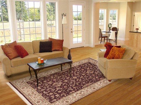 Sino-Persian Red Hand Knotted 60 X 90 Area Rug 100-11846 Image 4