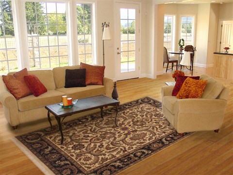 Jaipur Brown Hand Knotted 61 X 92 Area Rug 100-11861 Image 4