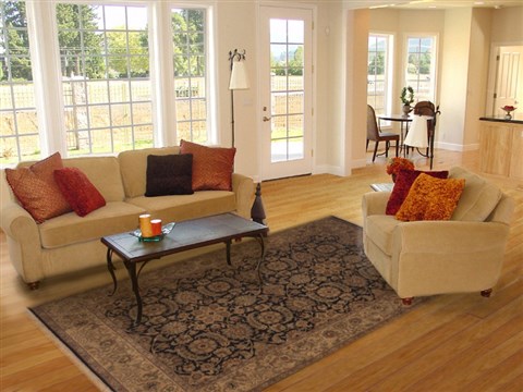 Jaipur Black Hand Knotted 60 X 90 Area Rug 100-11869 Image 4