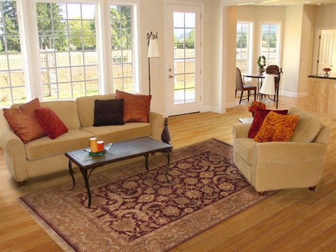 Jaipur Yellow Hand Knotted 60 X 90 Area Rug 100-11872 Image 4