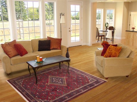 Bakhtiar Red Hand Knotted 47 X 71 Area Rug 100-11874 Image 5